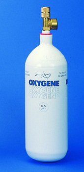 Oxymètre pour gaz Gasman Oxygène