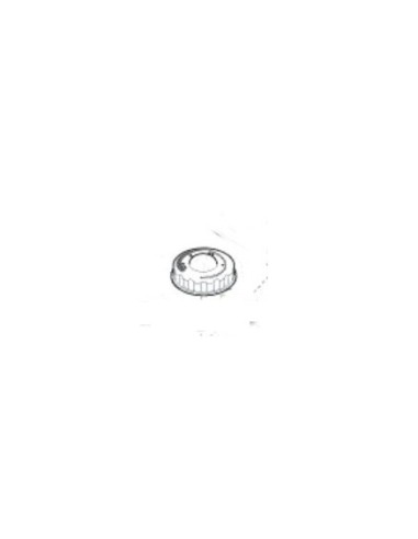 Disque de Réglage pour Centrale Vapeur Astoria