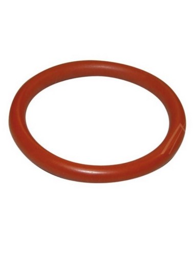 Joint Filtre Tamis pour Machine à Café SUP0310R Saeco