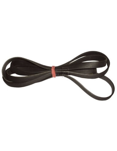 Courroie pour Lave-Linges type : 1936H8