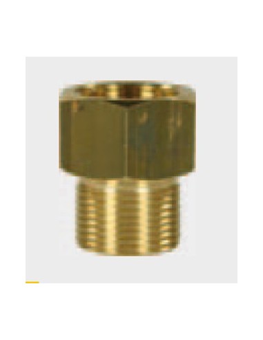 Adapteur 2000 du Flexible pour Nettoyeurs Haute Pression Kärcher