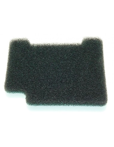 Filtre Moteur pour Aspirateur LG