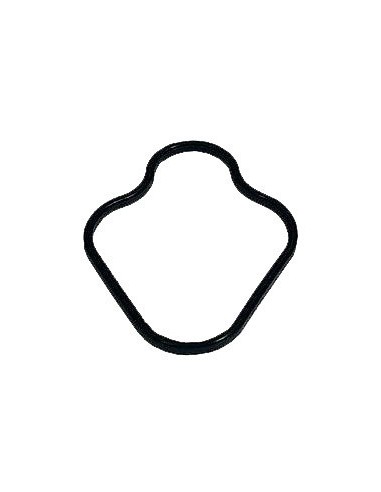 Joint Profilé de Piston pour Nettoyeur Haute Pression Kärcher