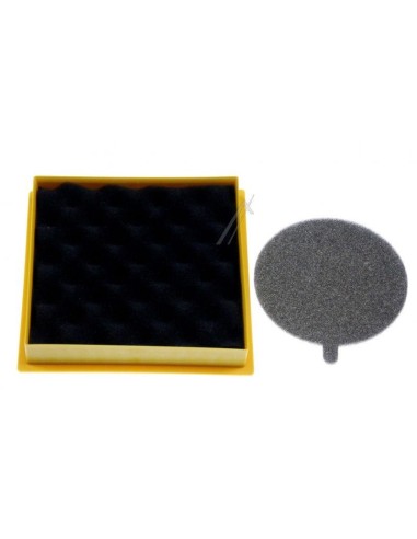 Filtre Pré-Moteur + Kit Filtre Hepa Sortie Moteur pour Aspirateurs Hoover