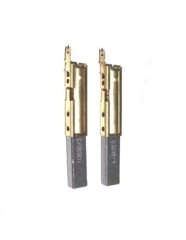 Kit de 2 Charbons de Moteur Version 2 pour Aspirateur Eau et Poussière Kärcher