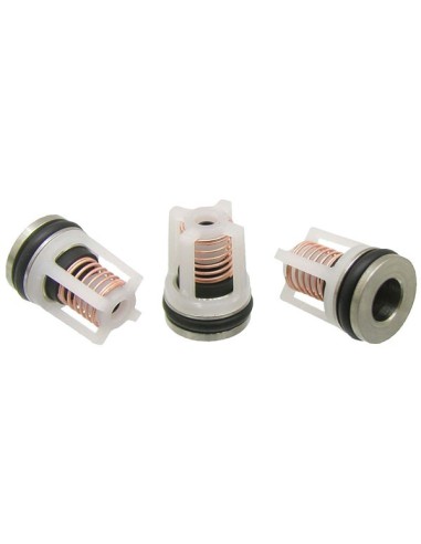 Soupape de Pompe de Nettoyeur Haute Pression Karcher