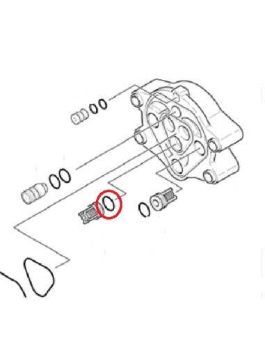 Bague d’Étanchéité de Soupape 10 X 2.2 pour Nettoyeur Haute Pression Karcher