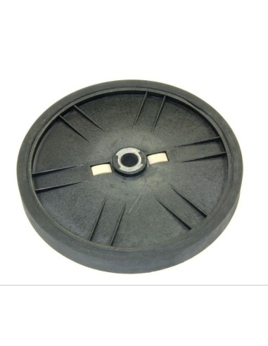 Poulie pour Cireuse F3870 Hoover