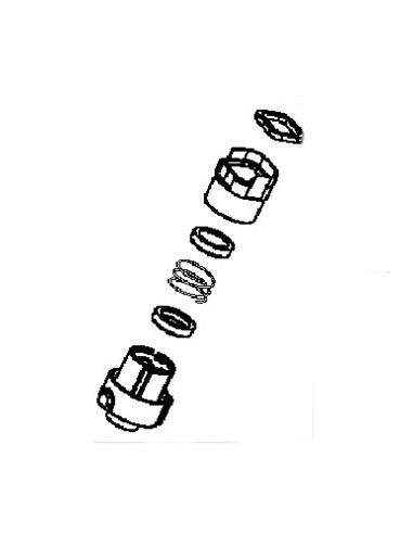 Piston + Ressort + Embout pour Aspirateur Air Force Rowenta