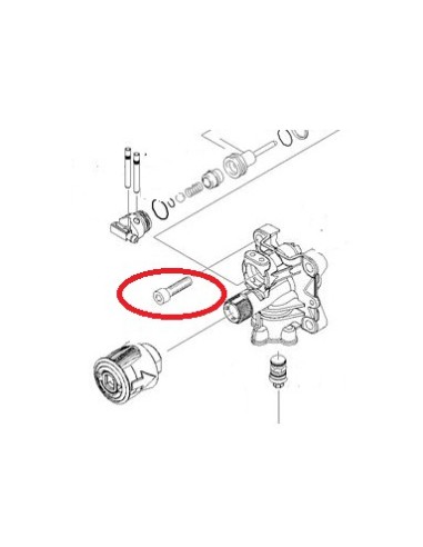Vis à Tête de Cylindre pour Nettoyeur Haute Pression Karcher