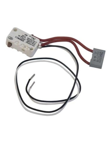Micro Interrupteur pour Centrale Vapeur RC456A Astoria