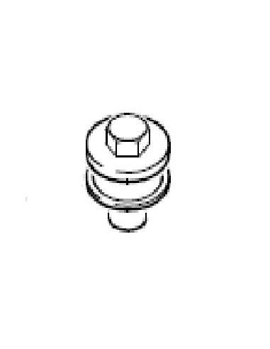Piston pour Nettoyeur Haute Pression Karcher