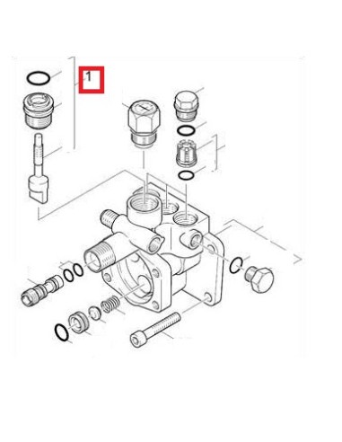 Culasse / Tête de Cylindre pour Nettoyeur Haute Pression Karcher