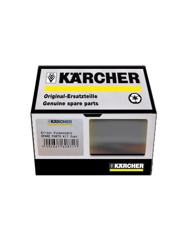 Kit de Pièces de Rechange de Pompe pour Nettoyeur Haute Pression Karcher