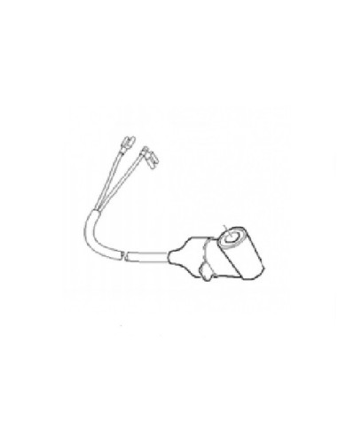 Interrupteur de Culasse pour Nettoyeur Haute Pression Karcher