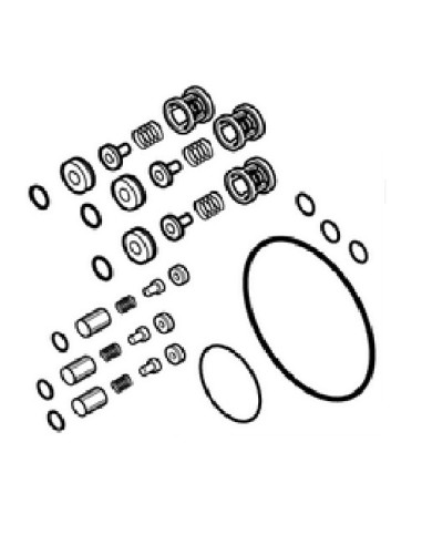 Kit Clapet de Culasse NA5C pour Nettoyeur Haute Pression Nilfisk