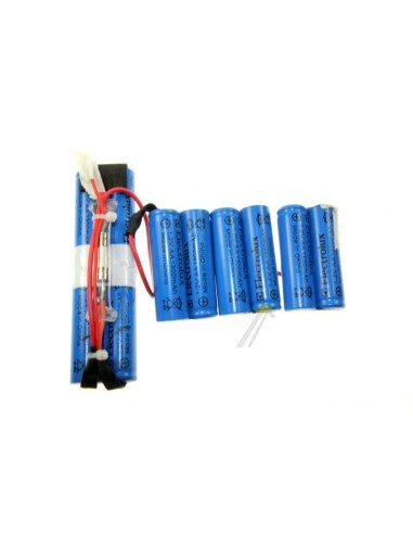 Kit Batterie Ergo Rapido pour Aspirateur Balai ZB2901G Electrolux
