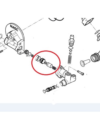 Kit Clapet Anti-Retour pour Nettoyeur Haute Pression Nilfisk 
