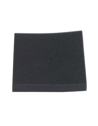 Filtre Mousse 10 x10 cm pour Aspirateur Intens / R2 Rowenta