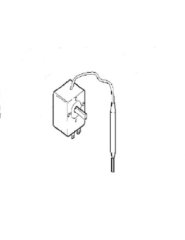 Thermostat pour Nettoyeur Haute Pression Karcher