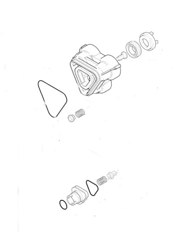 Tete de Cylindre pour Nettoyeur Haute Pression Karcher
