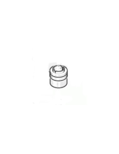 Remplacement Bouton Home iPhone 5C Apple