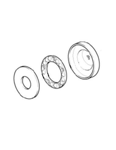 Disque en Nutation de 12 mm pour Nettoyeur Haute Pression Karcher