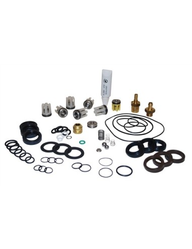  Kit de Pompe pour Nettoyeur Haute Pression Karcher