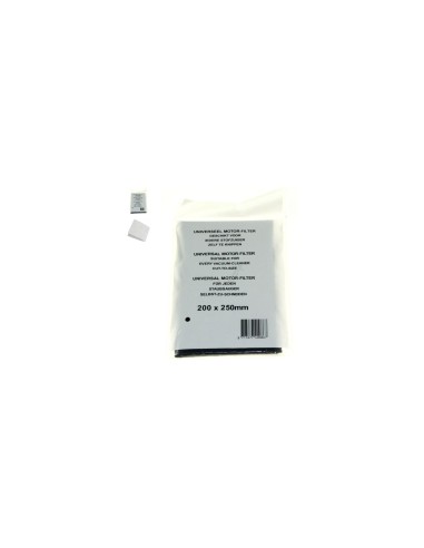 Filtre Moteur pour Aspirateur Spacio Rowenta