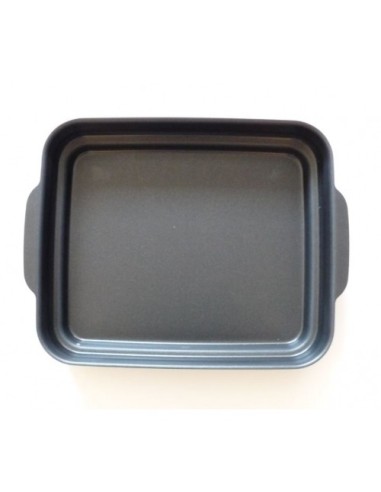 Plat à Vapeur 33cm x 28cm H.5.5cm pour Four Gourmet 38L Rowenta