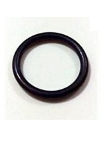1 Joint Torique O-Ring 17,3 x 2,4 pour Nettoyeur Haute Pression Kärcher 