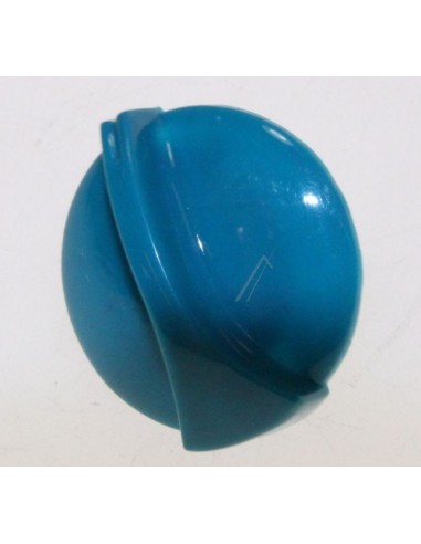 Bouton Bleu pour Générateur Vapeur Express Calor