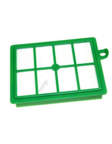 Filtre Changeable F1 pour Aspirateurs Traineau Eléctrolux TORNADO