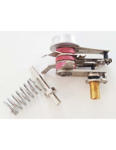 Kit Thermostat pour Gaufrier King Size / 4 IN 1 Tefal