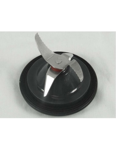 Couteau avec Joint Coloris Gris Foncé pour Blender BLM610SI KENWOOD