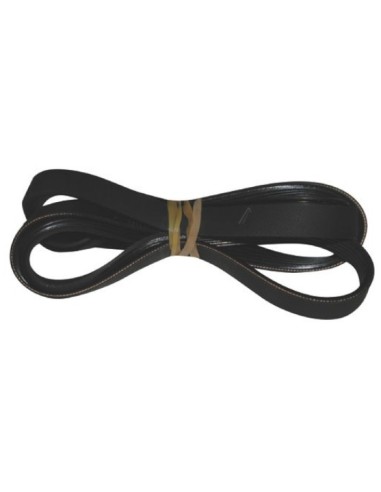 Courroie pour Machine à Laver avec Hublot WF70F5E5W4W/EF / WW80J6410CW/AH Samsung