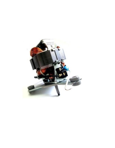 Moteur pour Centrifugeuse Frutelia JU350B39/A90 Moulinex