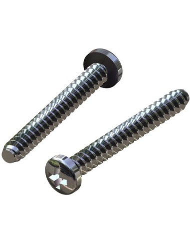 Vis x2 de Diffuseur pour Pompe Trisar Hayward