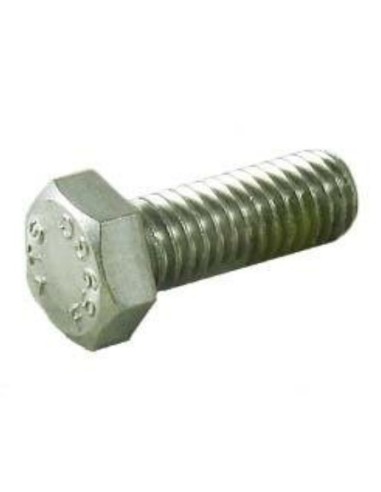 Vis Moteur pour Pompe Tristar Hayward
