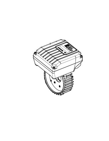 Pack électronique VSTD pour Pompe Tristar Hayward