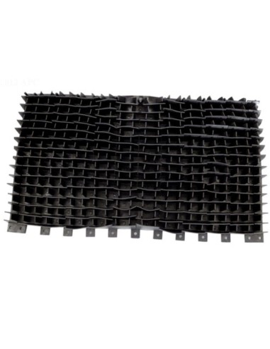 Brosse Picot pour Robot Hayward