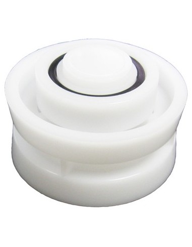 Roulement Chenille INT pour Robot Aquavac Hayward