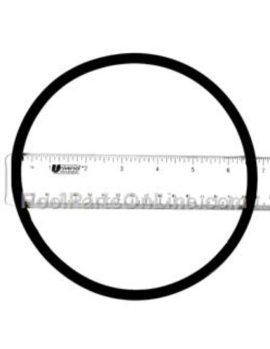 Joint Torique pour Pompe Super II - RS II Hayward