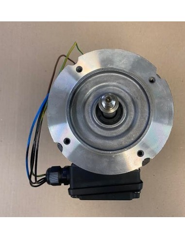 Moteur 1.5CV TRI RF pour Pompe Super II - RS II...