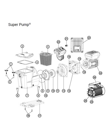 Turbine 2.00 CV pour Pompe Super Pump Hayward