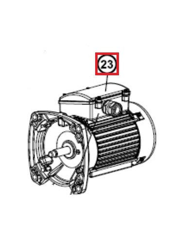 Couvercle pour Pompe Max - Flo XL Hayward