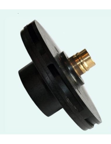Turbine 1.50 CV pour Pompe Super II - RS II Hayward