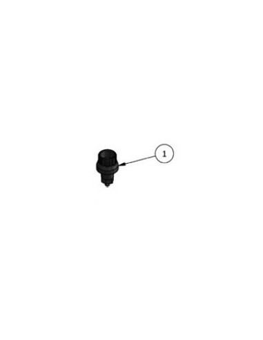 Purgeur Manuel pour Filtre Polyester Hayward