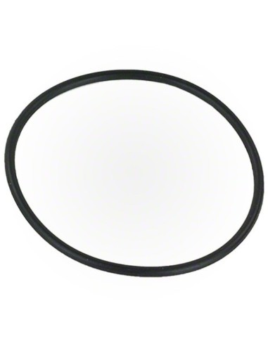 Joint Torique de Coude pour Filtre SwimClear...