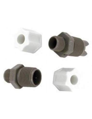 Clapet Anti-Retour 3/4 pour Distributeurs de Produits Chimiques CL100Euro Hayward